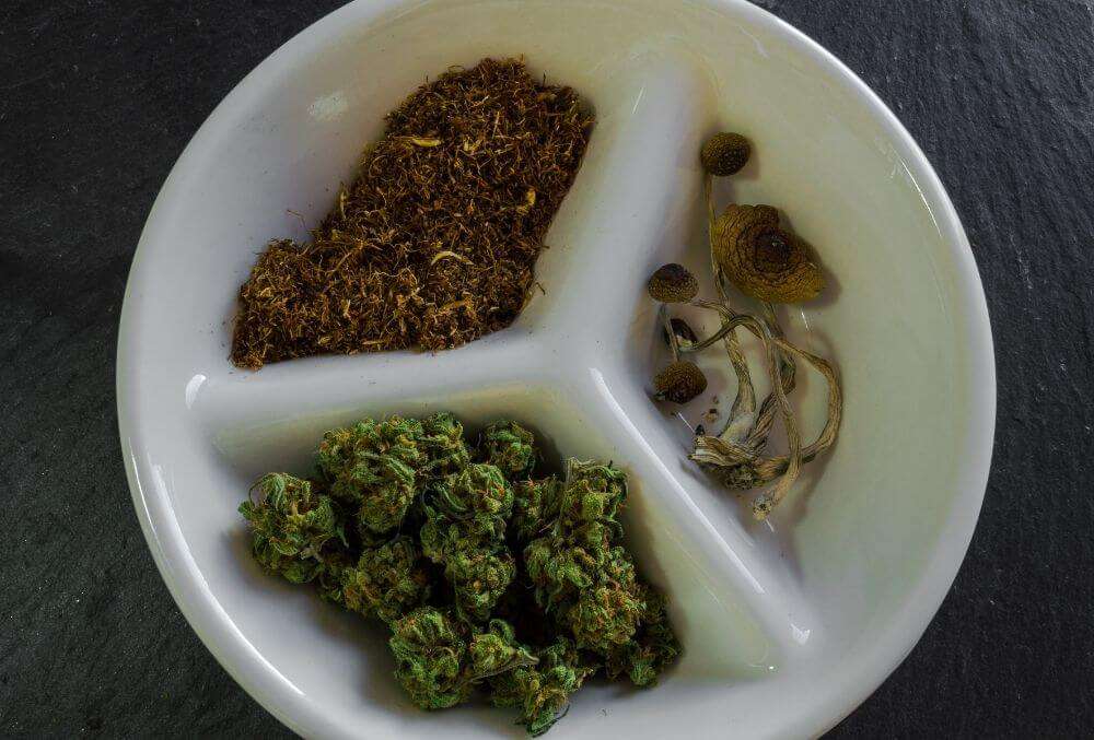 different drugs on a dish