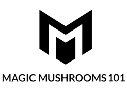 Magic Mushrooms 101