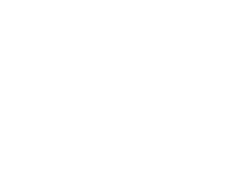 Magic Mushrooms 101