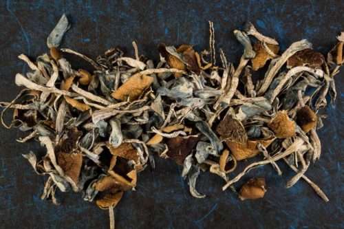 Dried Magic Mushroom