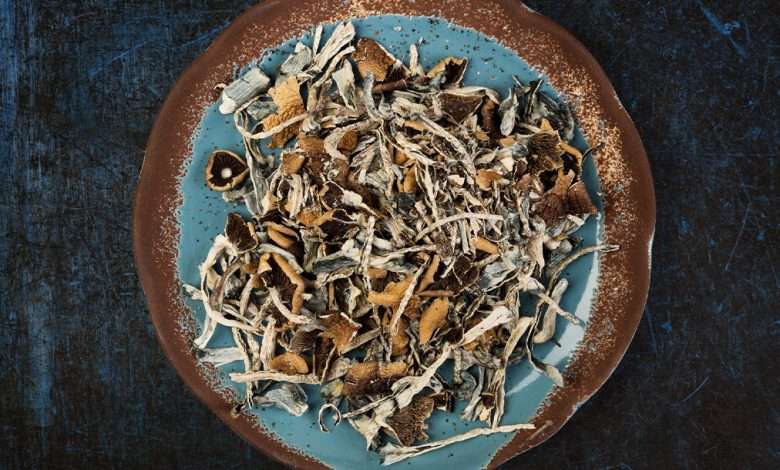 dried magic mushrooms in a round plate