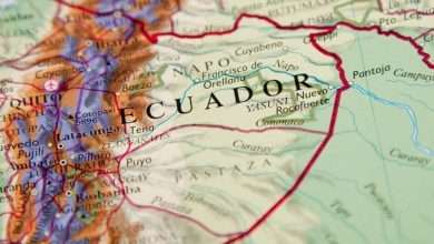 Photo of Ecuadorian Magic Mushrooms: What to Know