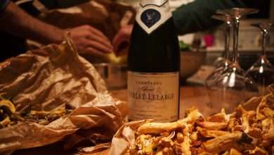 Photo of Magic Mushroom with Wine | The Best Shroom Recipes You Have to Try