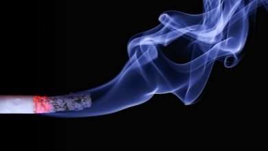 Photo of Can You Smoke Magic Mushrooms?