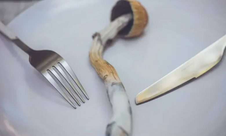 Magic mushroom in a plate with fork and knife