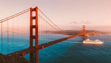 Photo of News Update Feb 2022: Magic Mushrooms in San Francisco