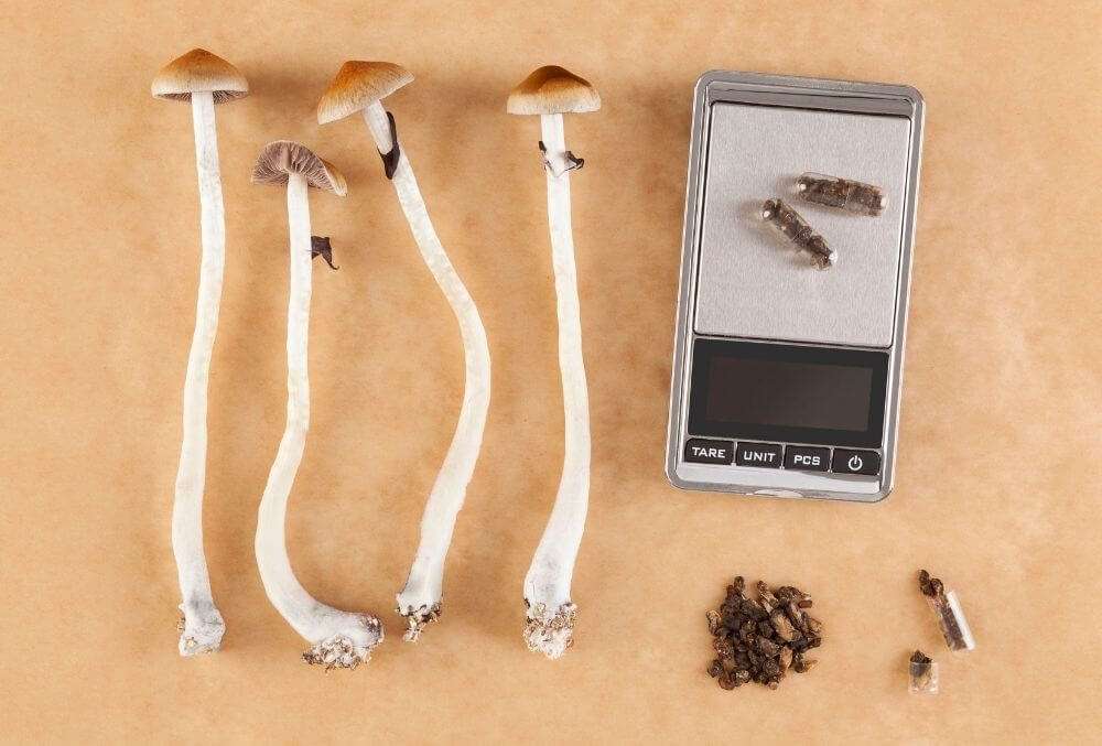preparing microdosing shrooms
